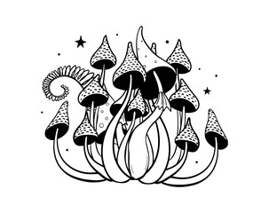 Modern Magical outline tattoo with poisonous witch mushrooms, fly agaric microdosing concept, mystical sticker isolated on white background. Vector line drawing, t-shirt print. - obrazy, fototapety, plakaty