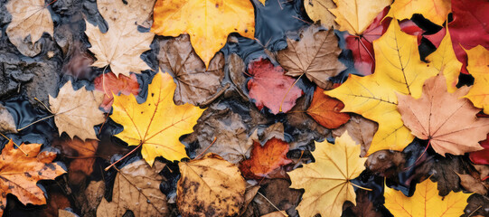 Obraz premium The vibrant colors of fall leaves carpeting the forest floor, with bright shades of red, brown, and golden yellow, capturing the beauty of the seasonal change.