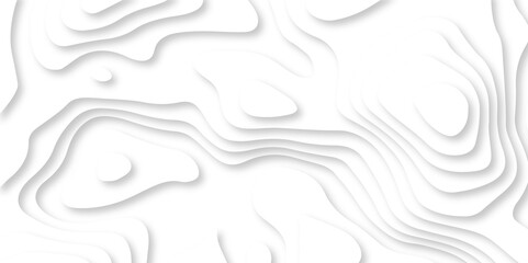 Seamless abstract white papercutbackground 3d realistic design use for ads banner and advertising print design vector. 3d topography relief. Vector topographic illustration.