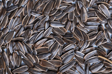 Sunflower seed roasted isolated on white background. Top view