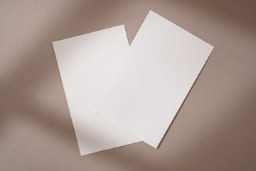 Flyer Mockup Isolated Background