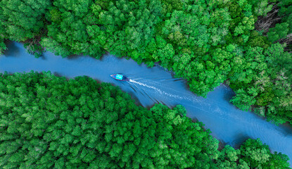Aerial view of forest and river landscape. A rich natural ecosystem, rainforest, and boats sailing...