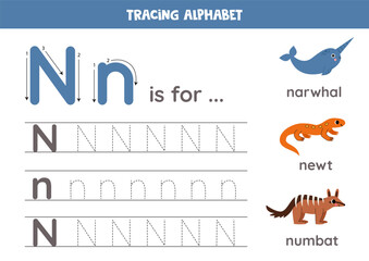 Tracing all letters of English alphabet. Preschool activity for kids. Writing uppercase and lowercase letter N. Printable worksheet. Cute illustration of narwhal, numbat, newt.