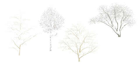 Winter tree on snow isolated in white background