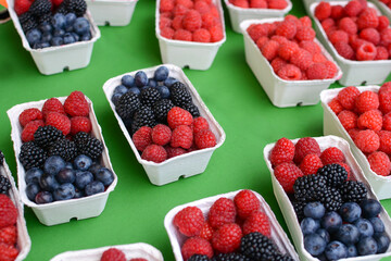 Fresh sweet raspberries blueberries blackberries for sale at the market, close-up. Boxes with...