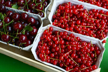 juicy red currants and fresh sweet cherries for sale at the market, close-up. Boxes with berries.