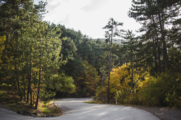 Mountain forest view with autumn foliage