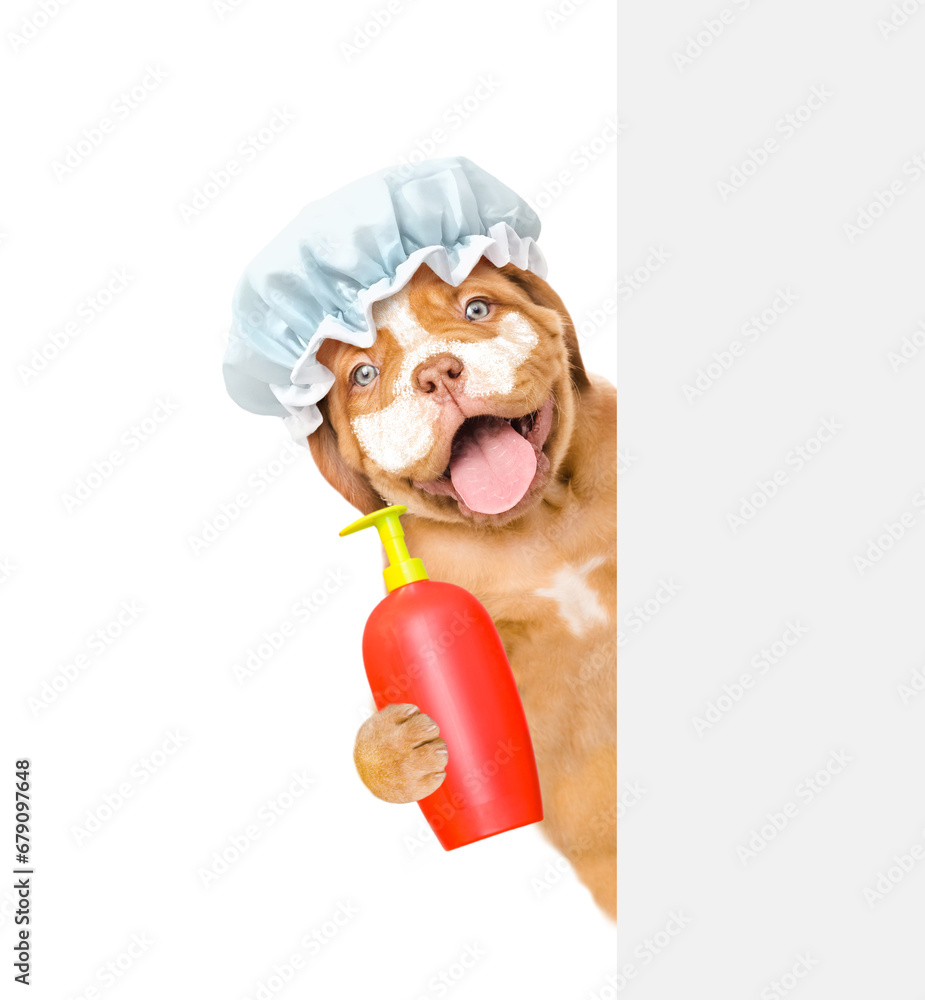 Poster happy mastiff puppy wearing shower cap with cream on it face looks from behind empty white banner an