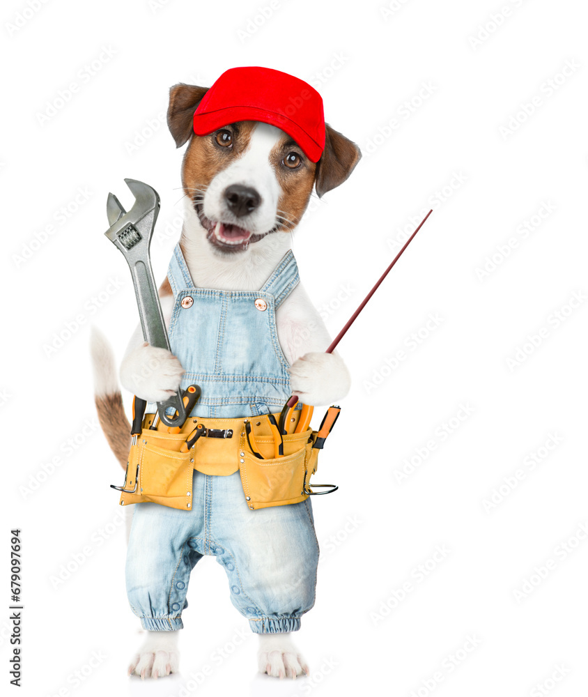 Poster funny jack russell terrier puppy wearing red cap and denim overalls with tool belt holds adjustable 
