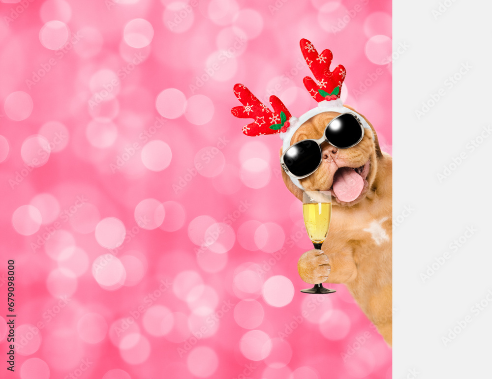Poster happy mastiff puppy dressed like santa claus reindeer rudolf looking from behind empty white banner 