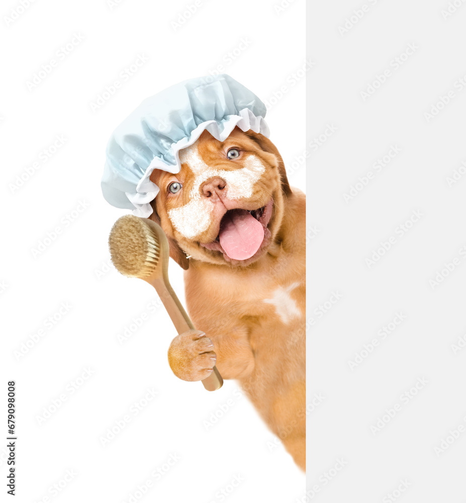 Poster happy mastiff puppy wearing shower cap with cream on it face holds shower brush behind empty white b