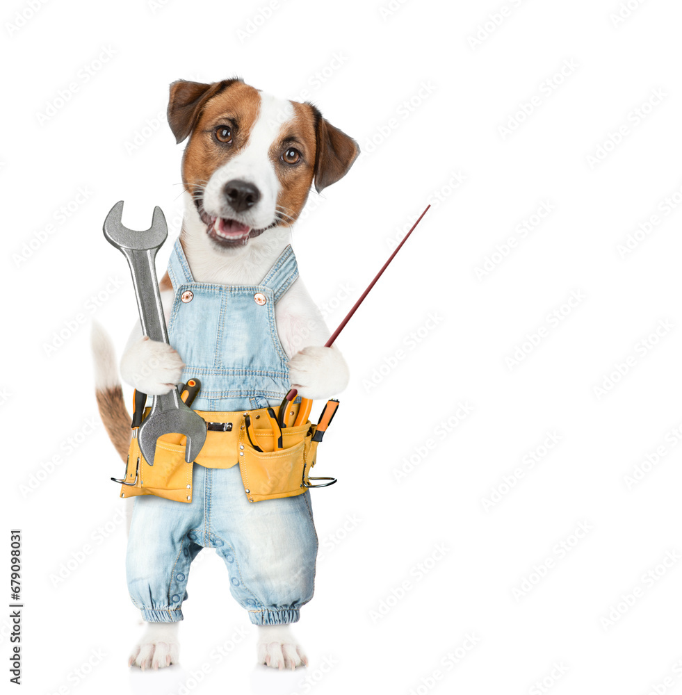 Poster funny jack russell terrier puppy wearing denim overalls with tool belt holds wrench and points away 