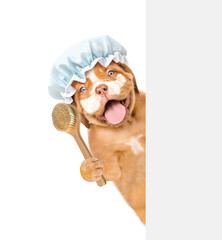 Happy Mastiff puppy wearing shower cap with cream on it face holds shower brush behind empty white banner. isolated on white background