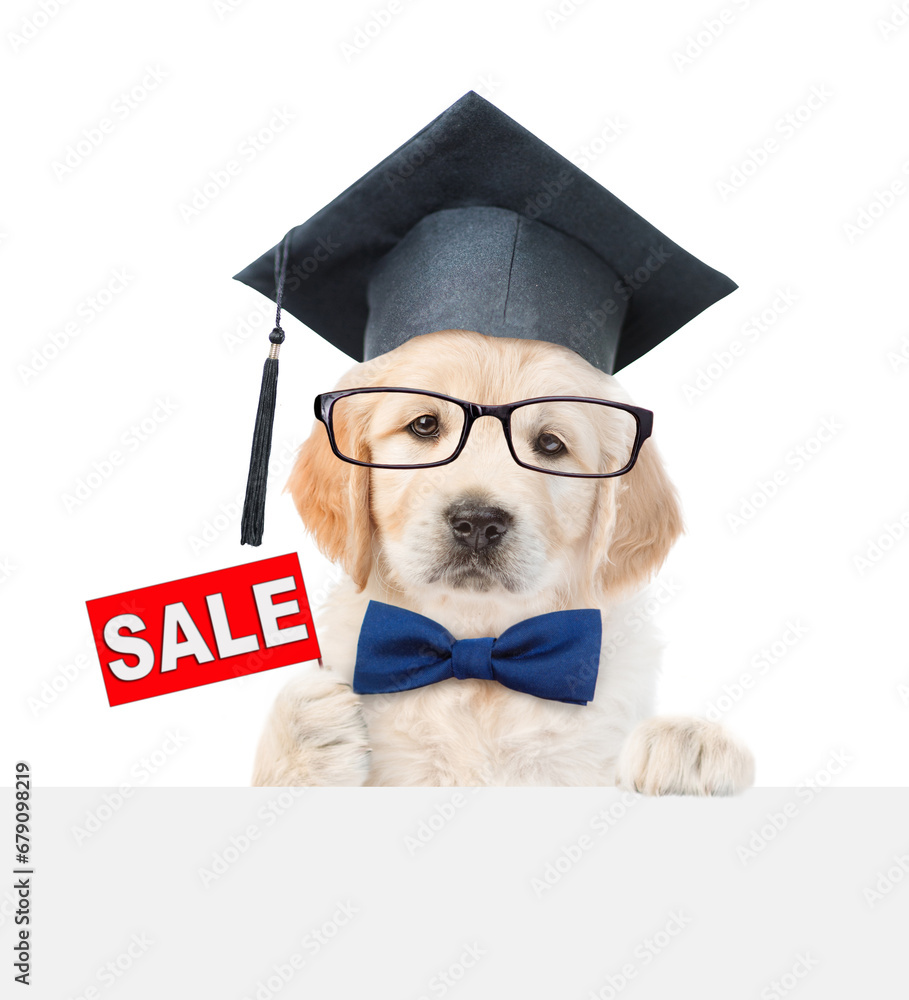 Poster smart golden retriever puppy holds signboard with labeled 