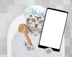 Cute kitten wearing shower cap takes the bath with foam at home and shows big smartphone with white...