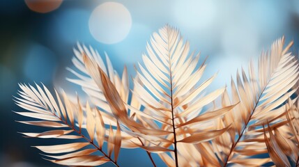 Blurred Shadow Palm Leaves On Light, HD, Background Wallpaper, Desktop Wallpaper