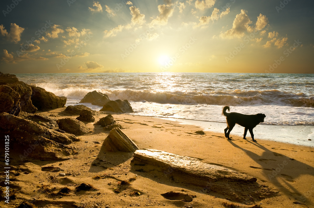 Canvas Prints sunrise over ocean