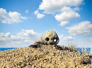 Skull on sand in desert