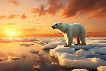 Rolgordijnen polar bear standing on an ice floe in the Arctic © Kien