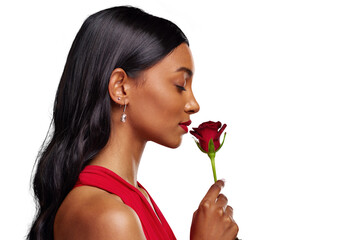 Face, woman and smelling a red rose for valentines day isolated on a transparent PNG background. Fragrance, model and profile of Indian female person with a flower in hand for romance, scent or love - obrazy, fototapety, plakaty
