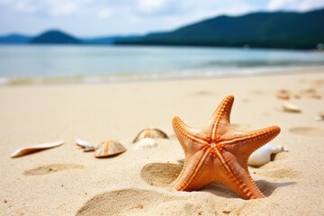Fototapeta na wymiar a close-up of a starfish on a sandy beach