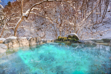 winter in the forest