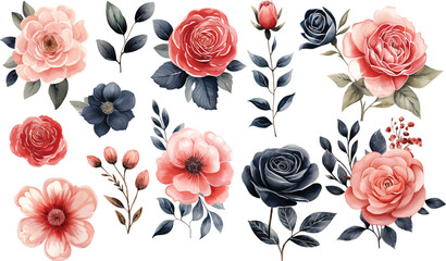 Watercolor Roses Red Navy Blue Flower Elements - obrazy, fototapety, plakaty