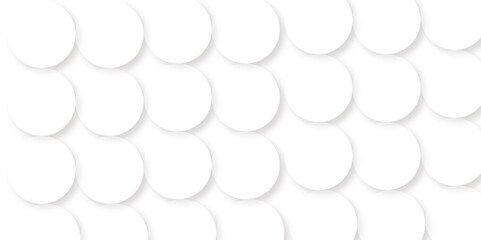 abstract technology communication circle concept vector background.Geometric background in white and gray Texture with light and shadow. Digital technology wallpaper used in the corporate in design.