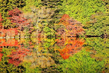 秋の南伊奈ヶ湖