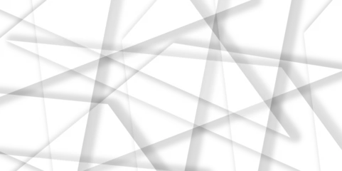 Foto op Canvas Abstract white and grey geometric glossy triangle lines background with soft shadows.Abstract grey minimal line design. Abstract triangle lines shape modern white and grey geometric banner background. © Kainat 