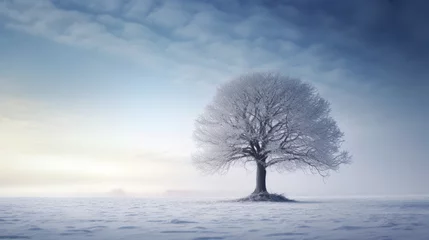 Foto auf Leinwand One single tree standing on a snowy field in winter, snowy plain © Daniel