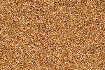 Yellow beach sand from small crushed parts of shells close-up, uniform texture background