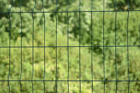green mesh fence on the background of green nature, iron fence mesh close up, blurred city, city fences concept	
