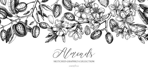 Almond background. Blooming branches, almond nuts, flowers, leaves sketches. Hand drawn vector illustration. Vintage seamless pattern. Spring trees border - obrazy, fototapety, plakaty