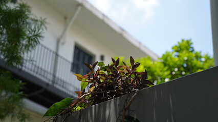 Blue sky in Hanoi Vietnam