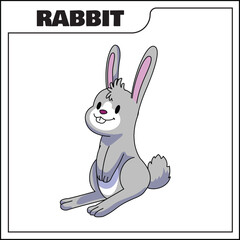 cute rabbit vector illustration, animal vector