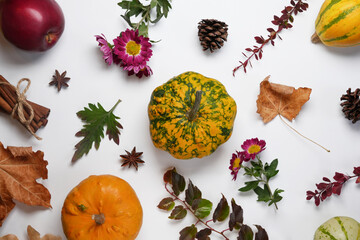 Autumn harvest still life with pumpkins, apples, flowers, leaves, pine cones and cinnamona on white background. Top view, flat lay. Banner. Autumn and  Thanksgiving concept.