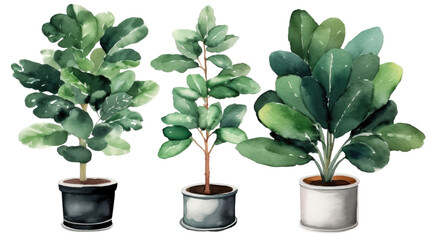 Watercolor collection of beautiful plants in ceramic pots isolated on transparent background, png