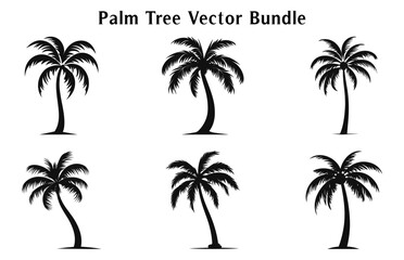 Fototapeta na wymiar Palm trees vector silhouettes set isolated on a white background, Tropical palm trees Bundle