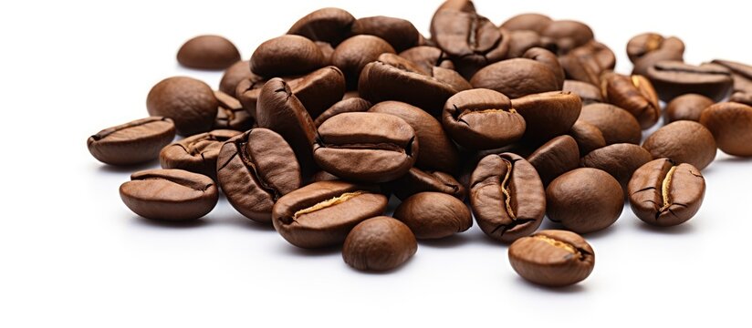 Isolated coffee beans on white Copy space image Place for adding text or design