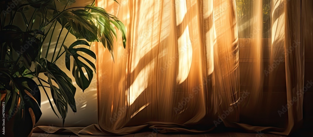 Poster indoor plants by the sunlit window casting shadows copy space image place for adding text or design
