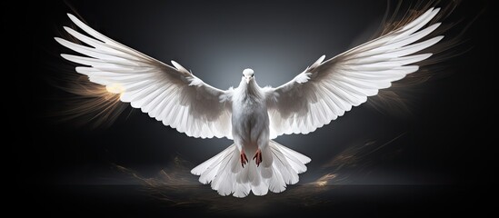 Human rights symbol in the form of a dove Copy space image Place for adding text or design