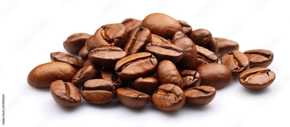 Poster isolated coffee beans on white copy space image place for adding text or design