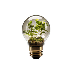 Light Bulb with Small Plant Isolated on Transparent or White Background, PNG