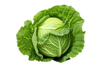 Fototapeta premium Green cabbage isolated on white background