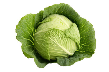Fototapeta premium Green cabbage isolated on white background