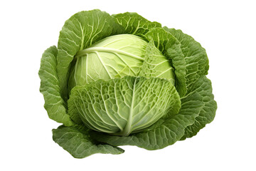 Obraz premium Green cabbage isolated on white background