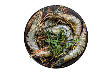 Raw black tiger shrimps prawns on a cutting board with herbs.  Transparent background. Isolated.
