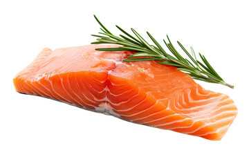 Raw salmon piece with rosemary isolated on white background
