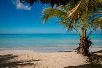 Fototapeta na wymiar On the beach in a tropical paradise, clear sea, sand and palm trees.